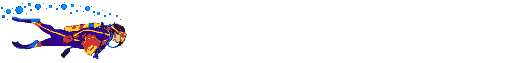20.667 bytes
